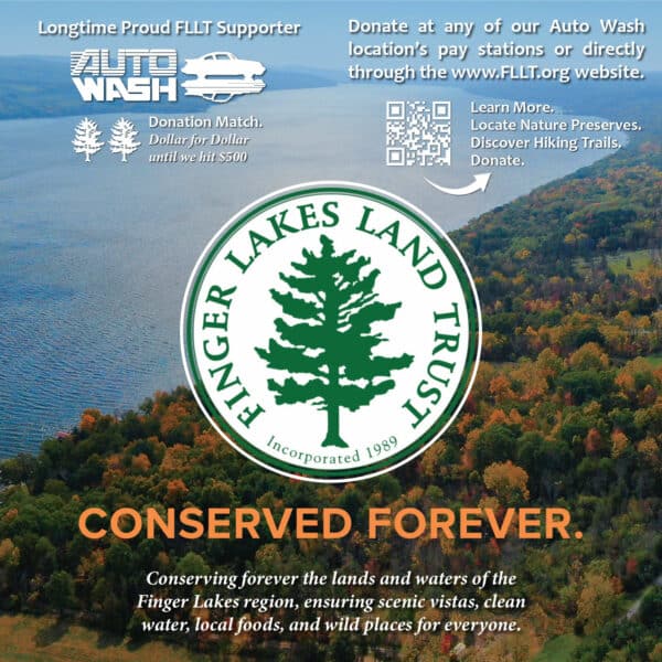 Auto Wash postcard about conservation